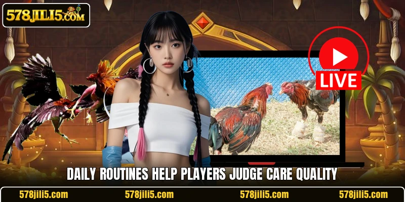 Daily routines help players judge care quality