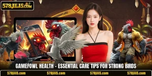 Gamefowl Health – Essential Care Tips For Strong Birds