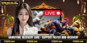 Gamefowl Recovery Care – Support Faster Bird Recovery