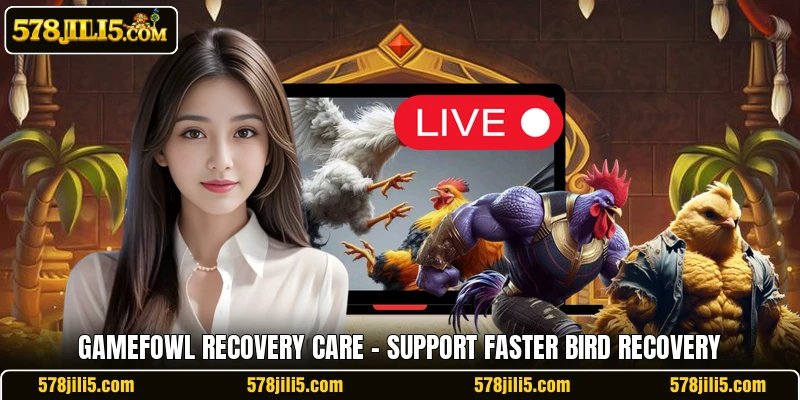 Gamefowl Recovery Care – Support Faster Bird Recovery