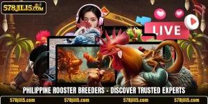 Philippine Rooster Breeders – Discover Trusted Experts